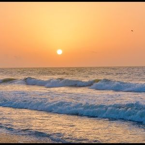 Meet your Posher, Haylie